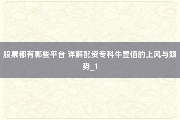 股票都有哪些平台 详解配资专科牛壹佰的上风与颓势_1