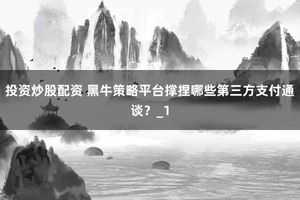投资炒股配资 黑牛策略平台撑捏哪些第三方支付通谈？_1