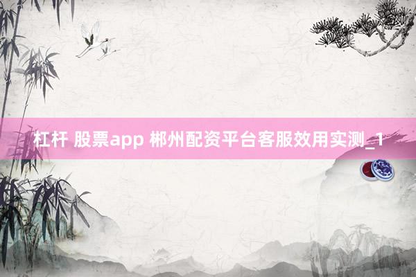 杠杆 股票app 郴州配资平台客服效用实测_1